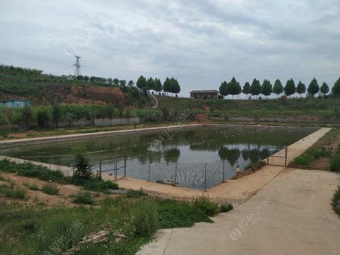 晉城野釣釣魚點_晉城免費釣魚的地方_晉城免費釣場