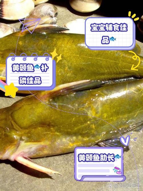 黃顙魚做法 黃顙魚營養價值 黃顙魚養殖技術_黃顙魚種類及圖片大全
