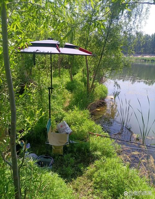 荊門十里鋪野河休閑釣