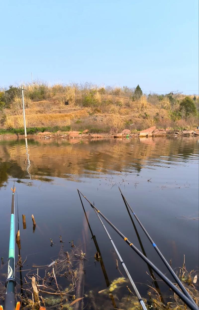 荊門釣魚農莊_荊門垂釣休閑農莊_荊門十里鋪野河休閑釣