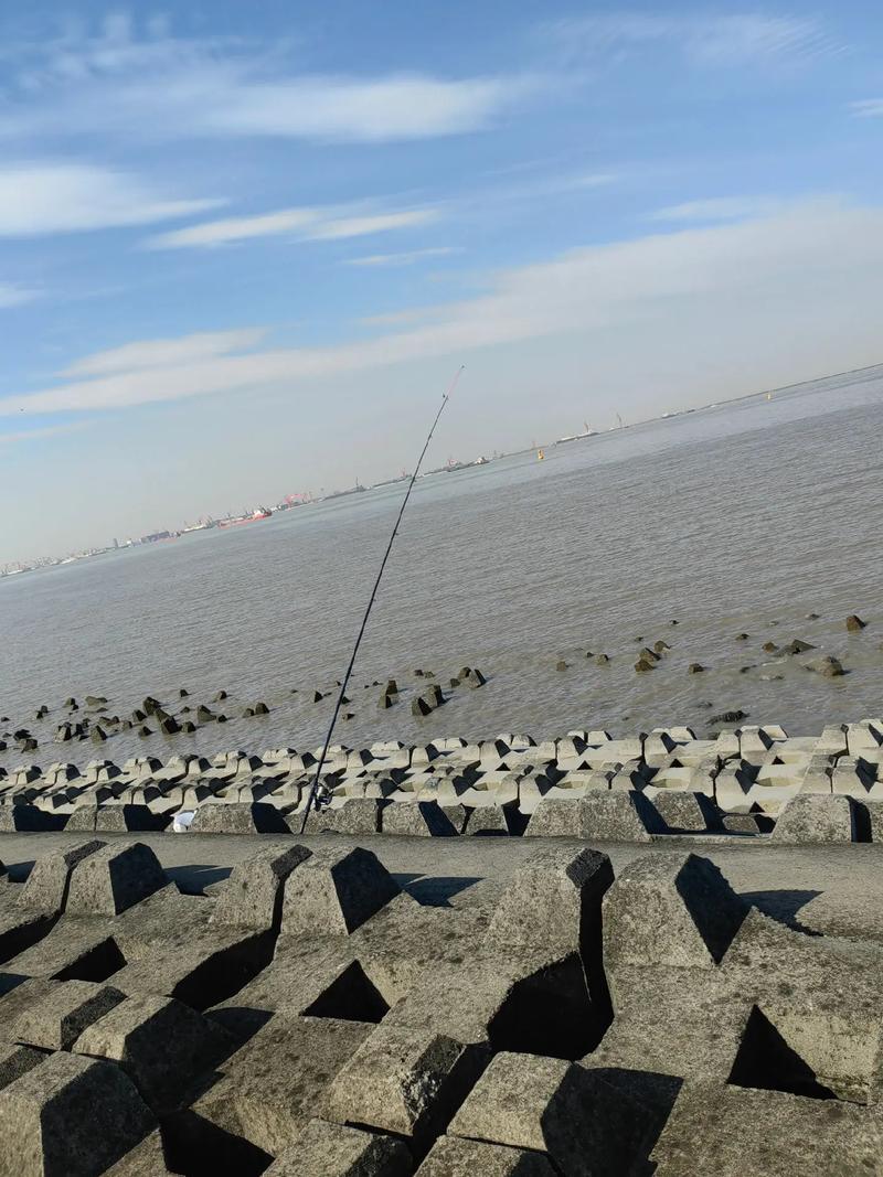 上海釣魚好去處_滴水湖垂釣攻略_上海釣魚地點推薦