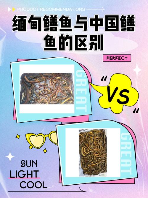 鰻魚和黃鱔的科屬區別_鱔魚和鰻魚區別_黃鱔和蛇有什么區別