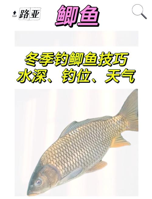 四海釣魚頻道釣賽進行時_四海釣魚頻道插曲大全_四海釣魚頻道漁我同行第207