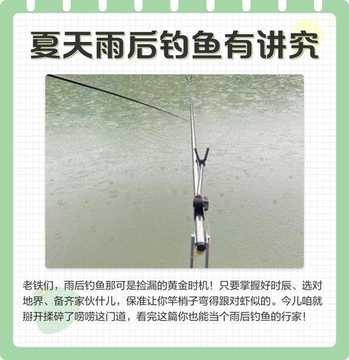 夏季雨后河流釣魚技巧_雨后釣魚最佳水深_夏季雨后釣魚技巧