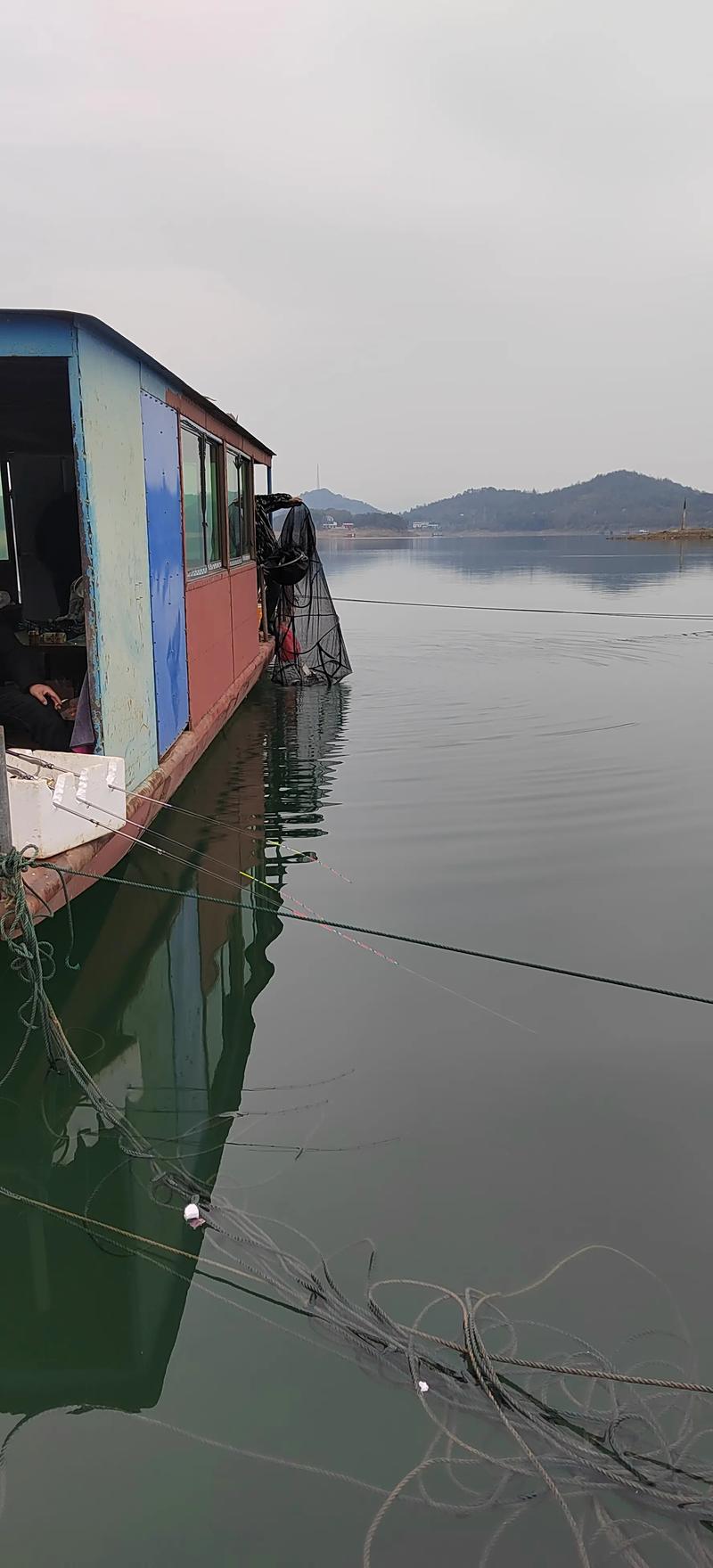 《水庫釣魚視頻》水庫釣魚水底探秘必看_水庫釣魚視頻大全_釣魚水庫視頻水底探秘必看圖片
