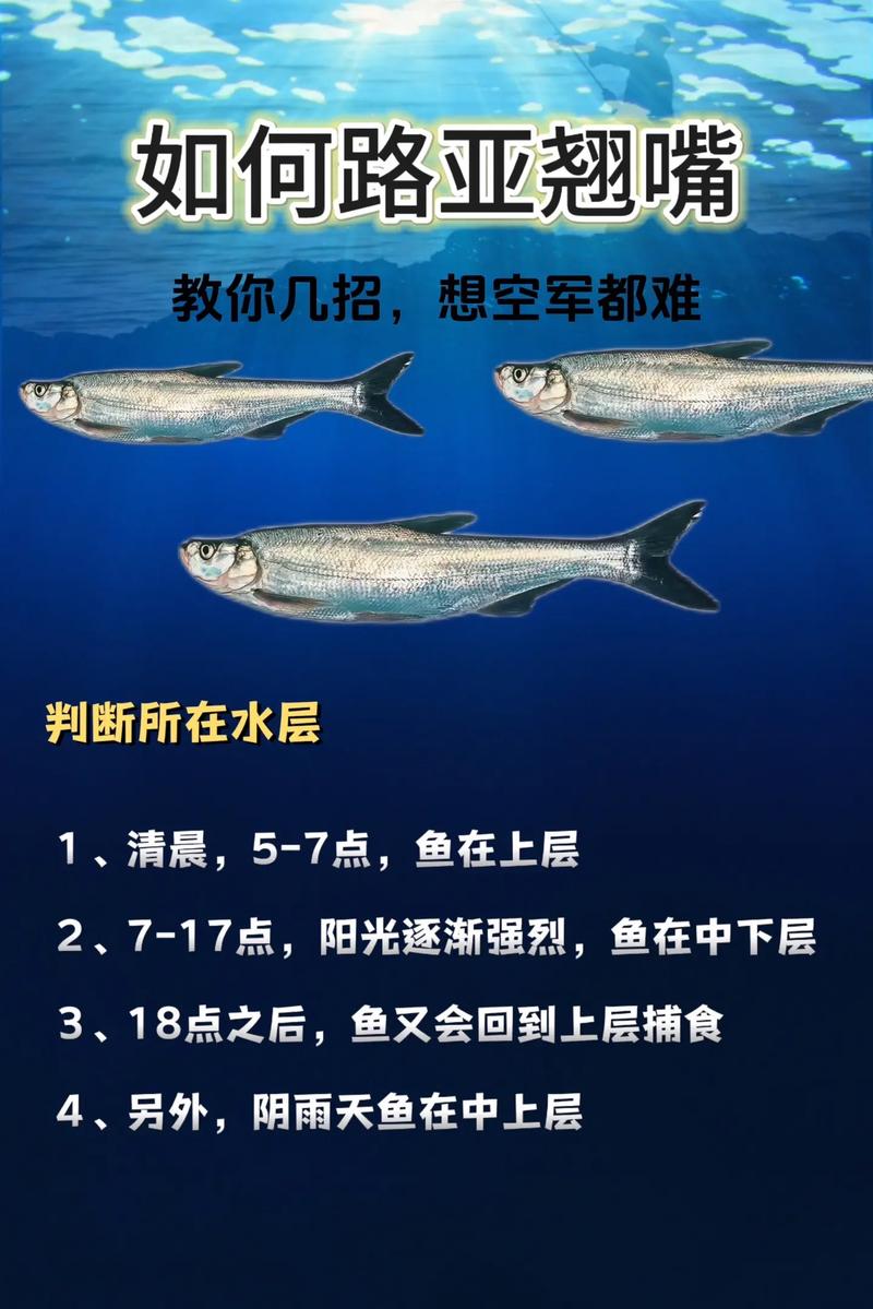 路亞竿子線用什么線好_路亞竿用什么線好_路亞竿和線怎么搭配