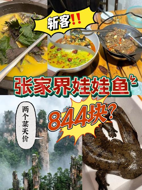 娃娃魚價格真相VS合法食用_釣起娃娃魚放生_養殖娃娃魚VS野生娃娃魚