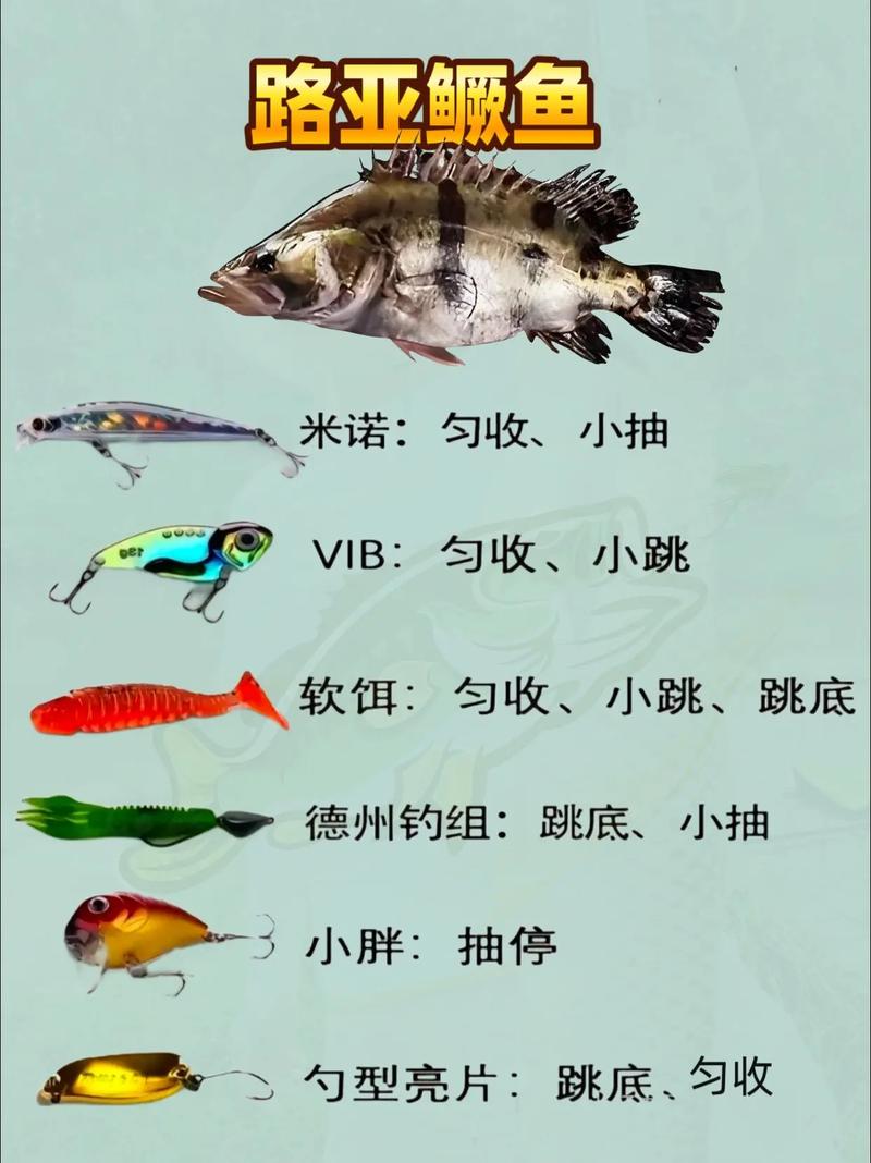 路亞鱖魚視頻_鱖魚路亞_路亞大鱖魚視頻