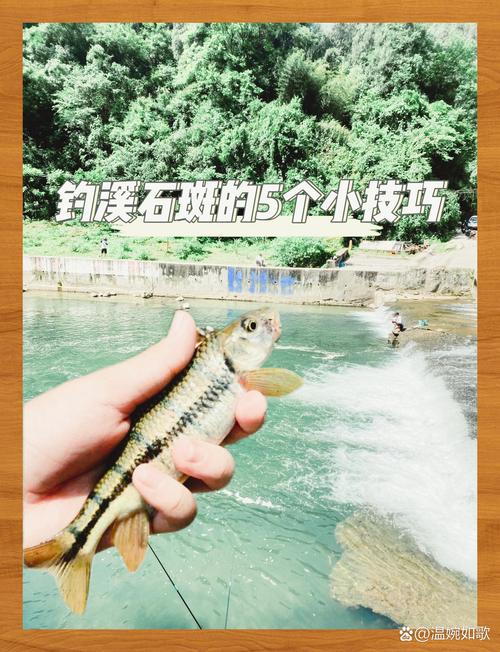 釣溪石斑魚絕招_如何垂釣溪石斑魚_釣溪石斑最佳餌料配方