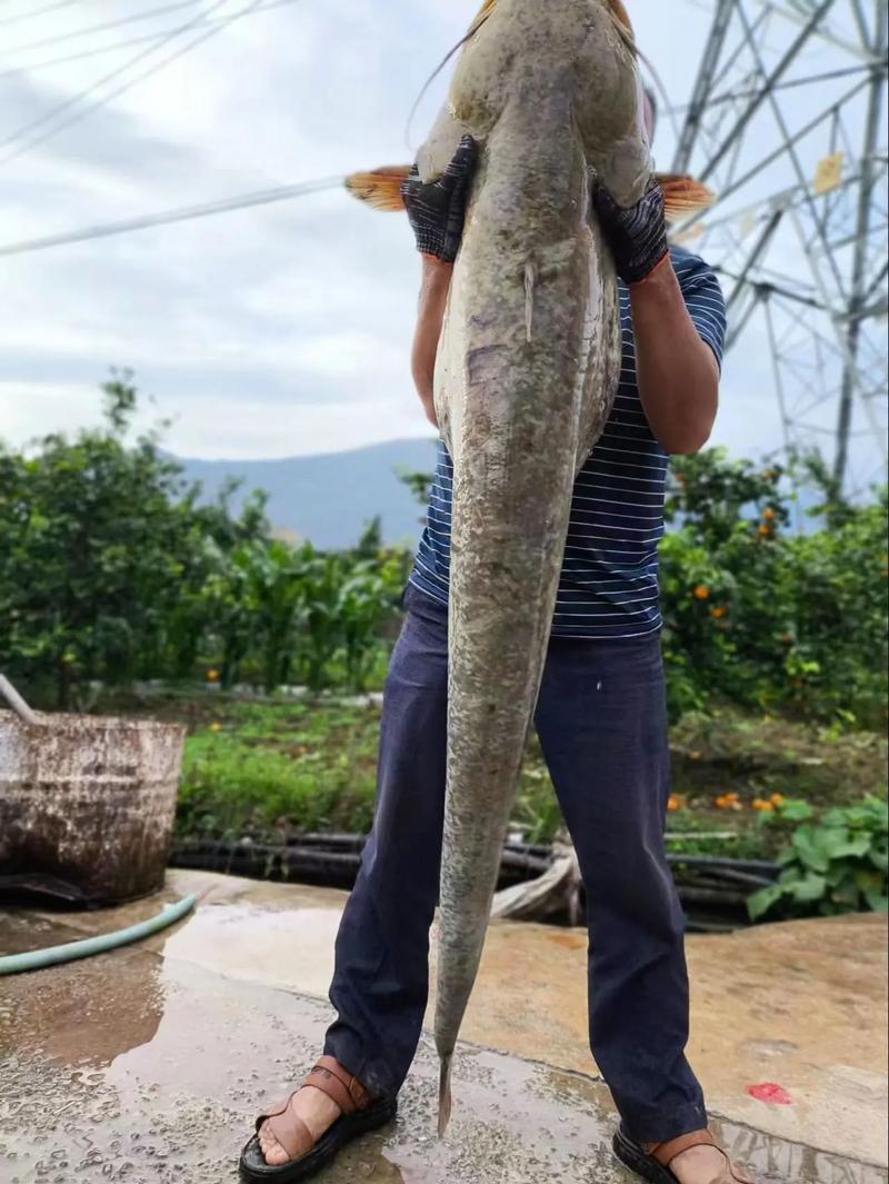 《游釣江湖》第29集再訪漢源湖必看_游釣中國2015全集34集_垂釣江湖