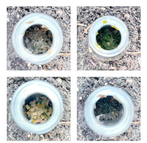 養殖蚯蚓技術了視頻_蚯蚓無土簡單養殖法_最簡單的蚯蚓養殖辦法教學視頻