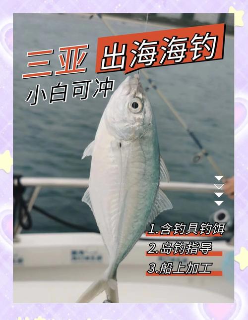 海釣常用魚餌推薦_三亞海釣用什么魚餌_海釣魚餌種類使用技巧