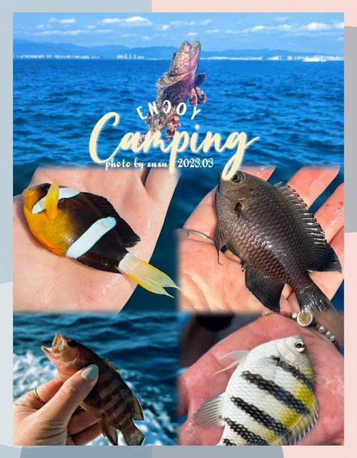 三亞釣海魚的地方_三亞海釣魚種_三亞海釣常見的魚