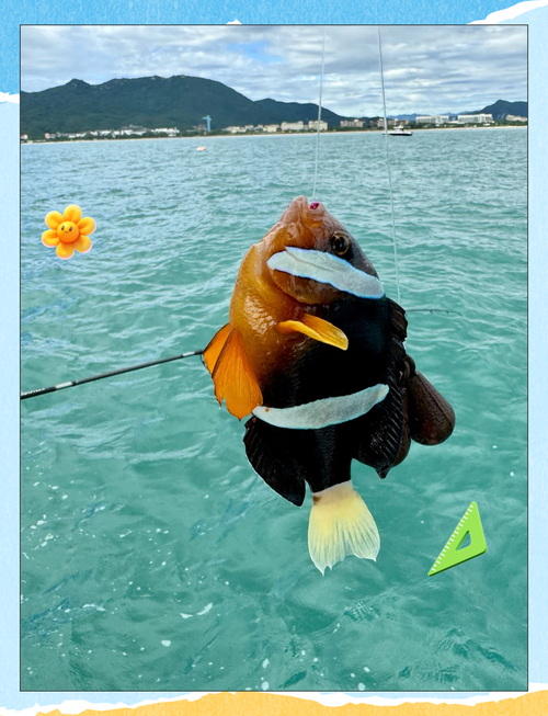 三亞海釣能釣到什么魚_三亞海釣哪里可以釣大魚_三亞海釣什么時間最適合