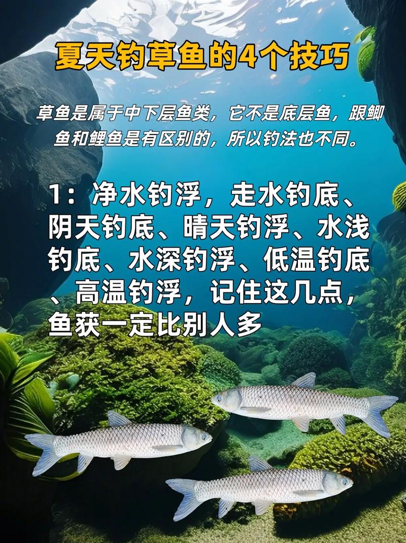 天元草魚餌料配方大全_草魚餌料配方野釣天元_天元餌料經典配方