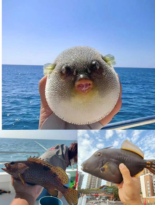 三亞海釣能釣到什么魚_三亞海上釣魚_三亞釣海魚的地方