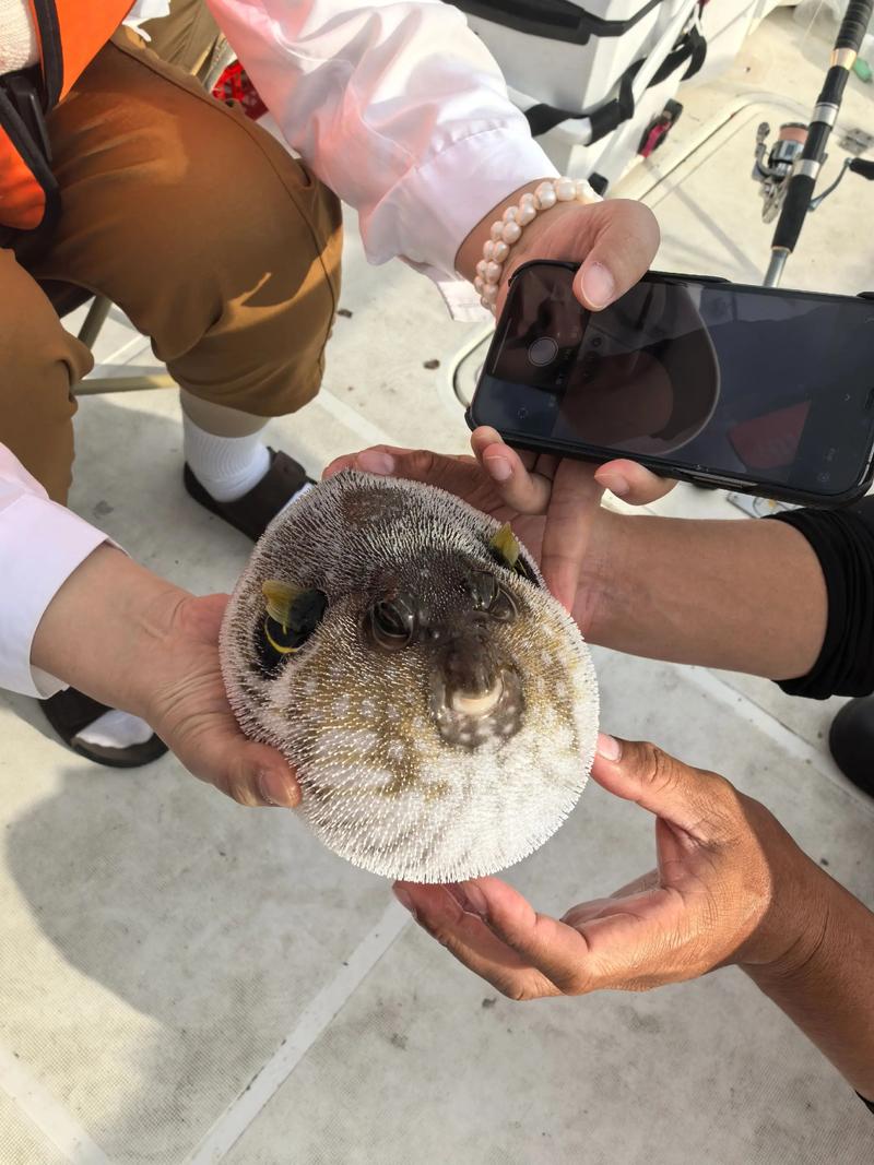 海南海島垂釣半日桶滿_野生海釣海南攻略_三亞海釣攻略