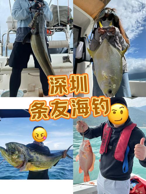 海南海島垂釣半日桶滿_野生海釣海南攻略_三亞海釣攻略