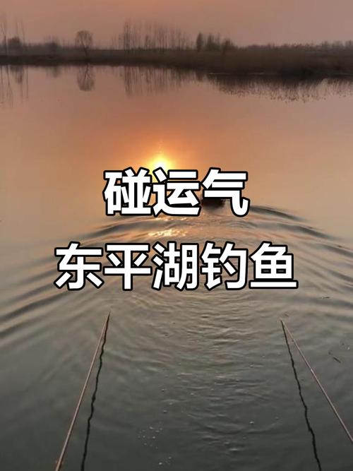 平湖東湖可以釣魚嗎_東平湖釣魚去哪個位置_東平湖釣魚吧