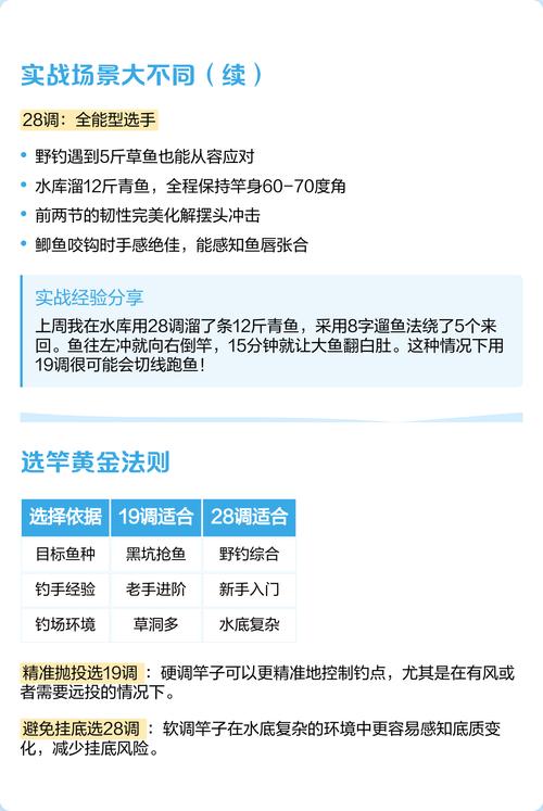 魚竿19調與28調區別_魚竿調性對比圖_釣竿調性選擇技巧