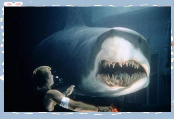 深海狂鯊 灰鯖鯊 電影分析 _灰鯖鯊是什么鯊魚_ 灰鯖鯊 特點 電影 