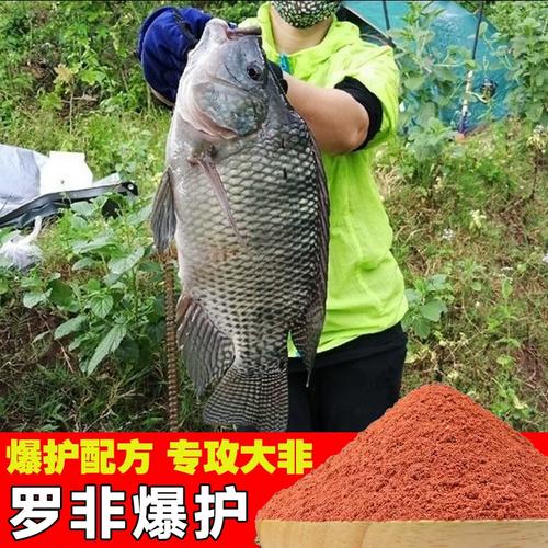 求釣大羅非魚餌料配方_羅非魚的餌料系數_釣羅非魚絕密餌料配方