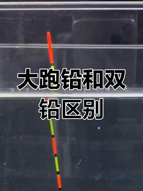 雙鉛墜釣法優缺點_雙鉛釣法_跑鉛釣對比