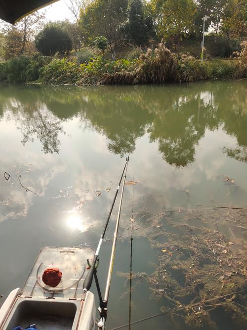 杭州那里野釣魚_杭州野釣的地方推薦_杭州地方推薦野釣地點