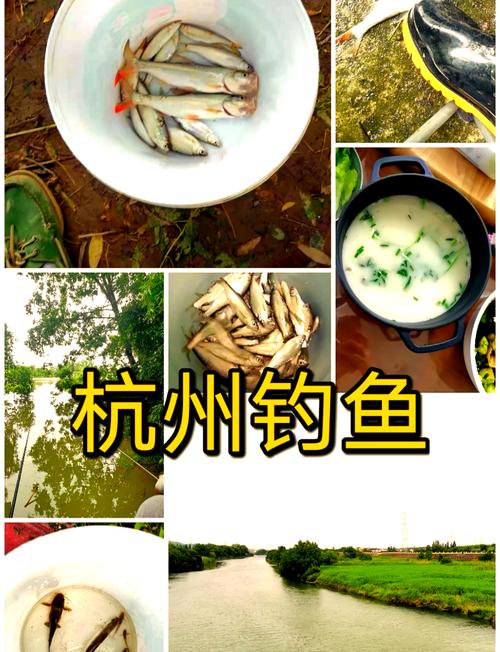 杭州野釣的地方推薦_杭州地方推薦野釣地點_杭州那里野釣魚