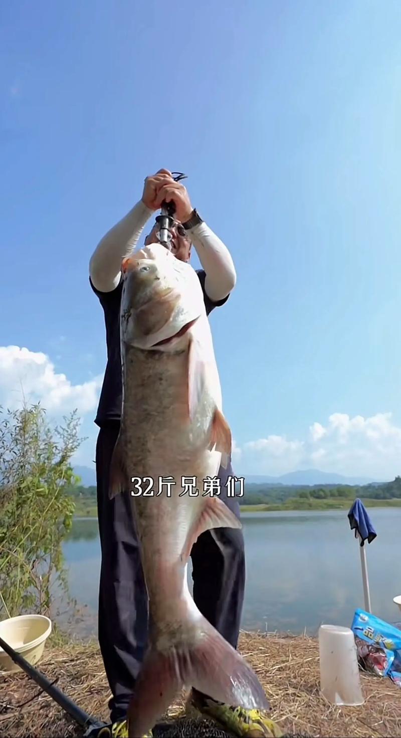 《漁我同行》第202集龍上釣鰱上必看