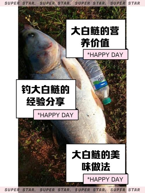 《漁我同行》第202集龍上釣鰱上必看_《漁我同行》第202集龍上釣鰱上必看_《漁我同行》第202集龍上釣鰱上必看