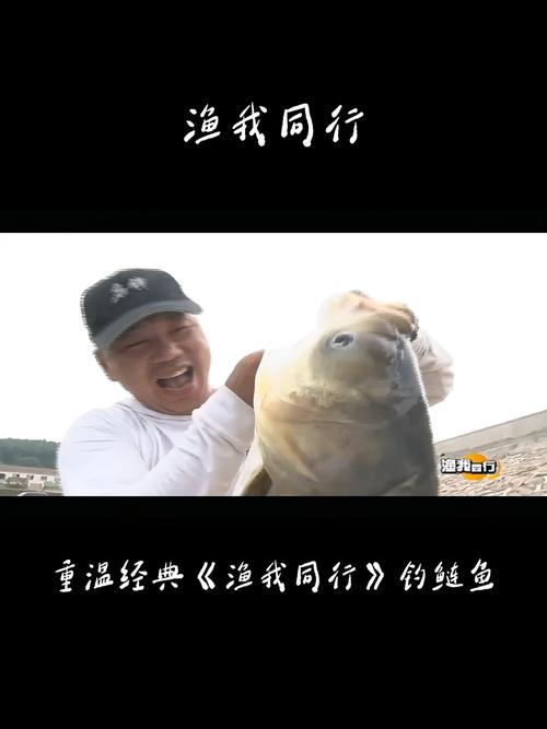 《漁我同行》第202集龍上釣鰱上必看_《漁我同行》第202集龍上釣鰱上必看_《漁我同行》第202集龍上釣鰱上必看