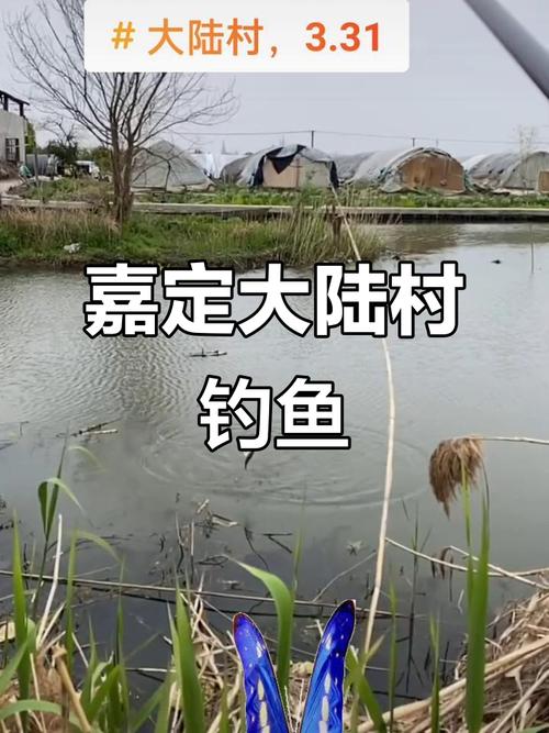 求嘉定馬陸野釣點_嘉定馬陸哪里好玩_嘉定馬陸景點