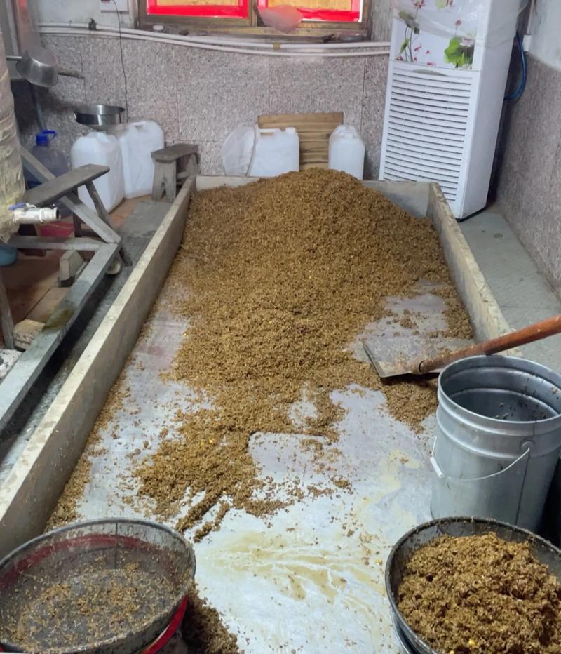 釣魚酒糟方法使用圖解_酒糟釣魚使用方法_釣魚酒糟怎么用