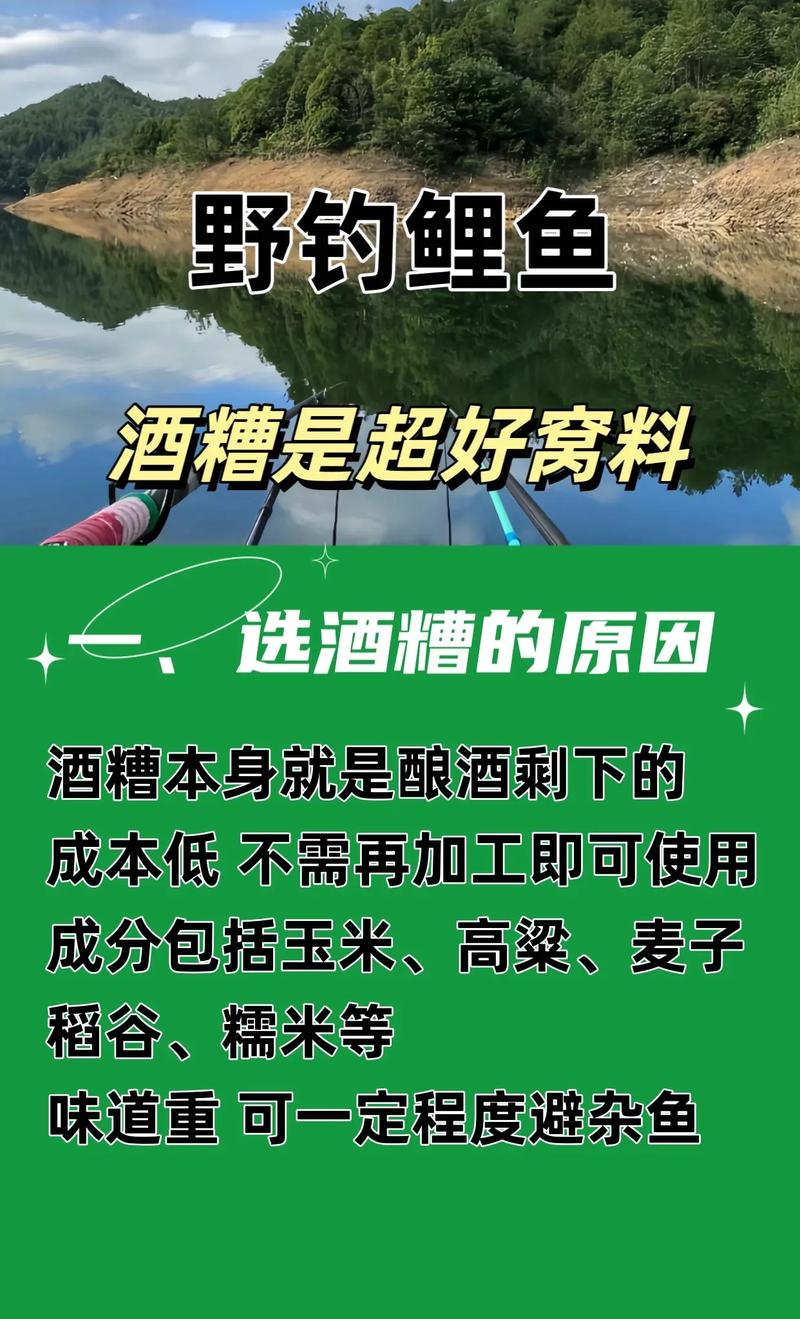 酒糟釣魚使用方法_釣魚酒糟怎么用_釣魚酒糟方法使用圖解