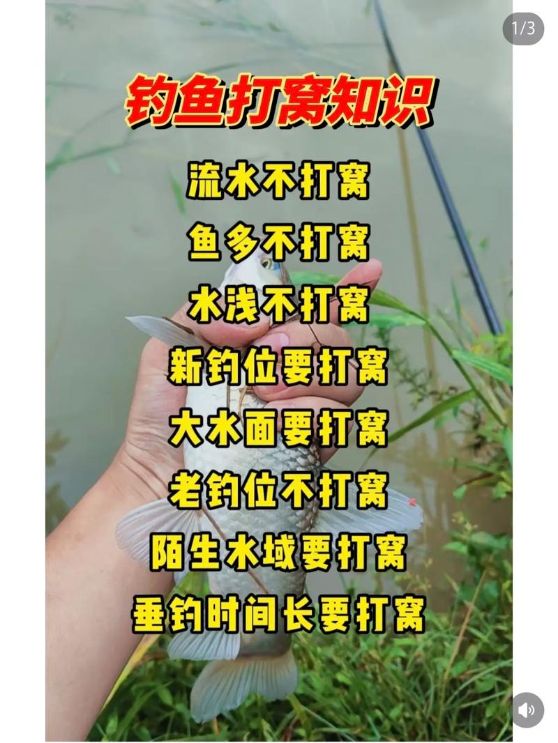 冬天河邊釣魚技巧_冬季釣魚打窩技巧_窩料少魚還來