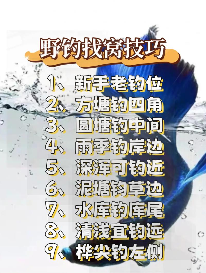 野釣釣點_野釣釣魚高手_野釣野釣