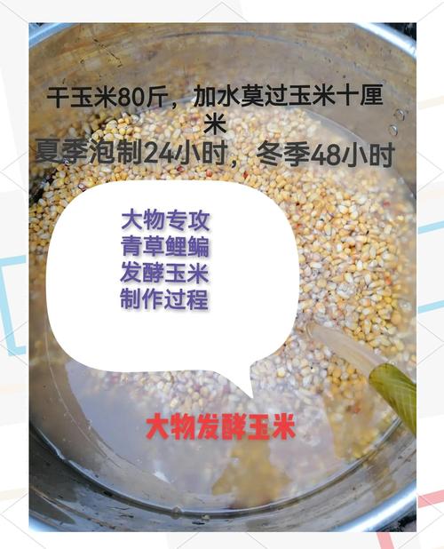 酸香型玉米面團配方_冬季釣鯉魚玉米餌_自制玉米魚餌配方大全野釣-配方餌料-網