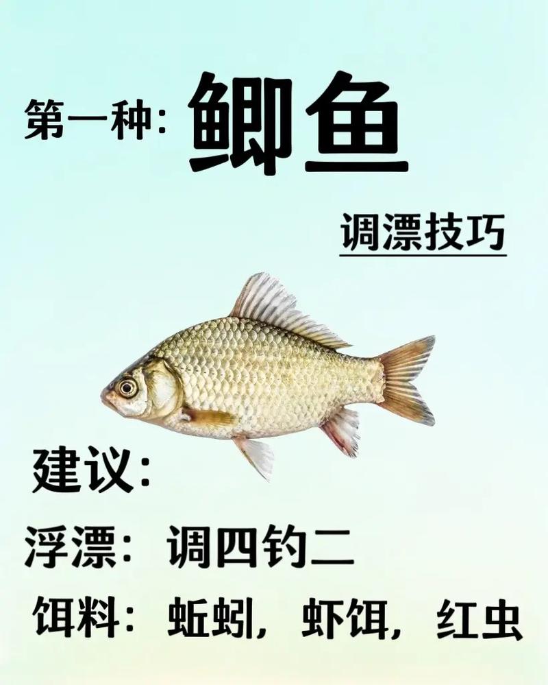 釣魚調漂技巧_空鉤調漂方法_野釣鯽魚調漂最佳方法