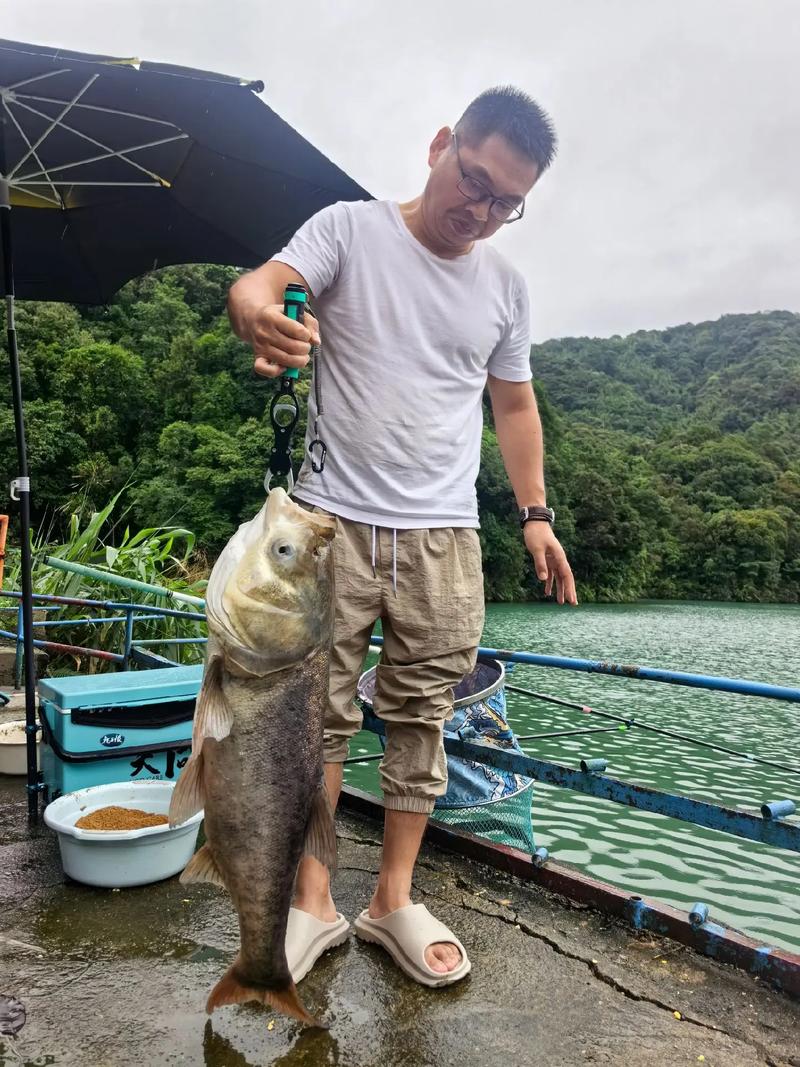 水庫釣魚視頻_水庫釣魚小視頻_釣魚視頻水庫野釣實戰高清