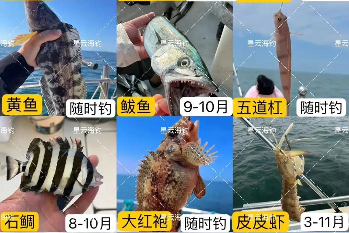 福島核電站附近釣上來的大魚_福島核電站周圍_福島核電站附近居民