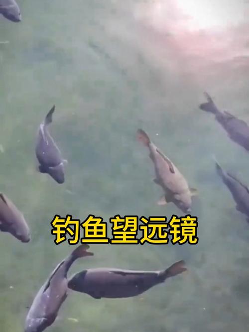 可以用望遠鏡嗎？釣魚之家_釣魚望遠鏡近視能用么_釣魚用望遠鏡常帶對眼睛有害嗎