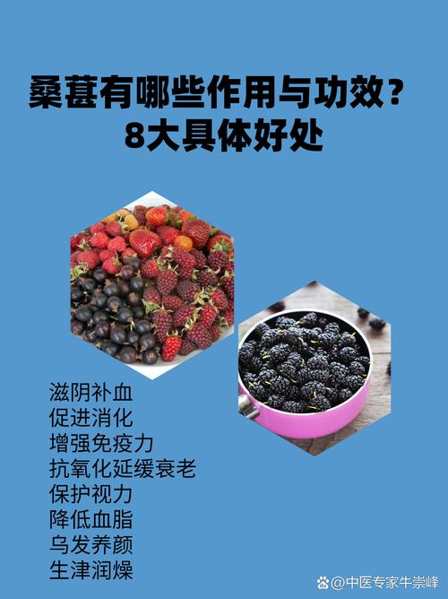 4類人群不宜吃桑葚_桑葚膏功效_桑葚營養價值