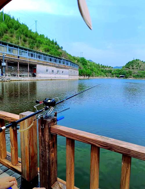 附近水庫釣魚免費_附近水庫釣魚收費標準_附近水庫野釣