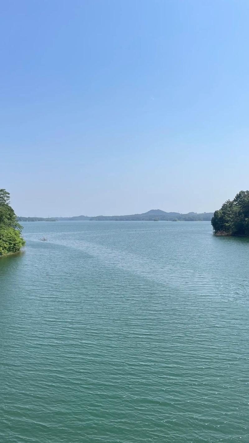 湖南灣田戴松林簡歷_南灣湖_湖南灣田集團有限公司