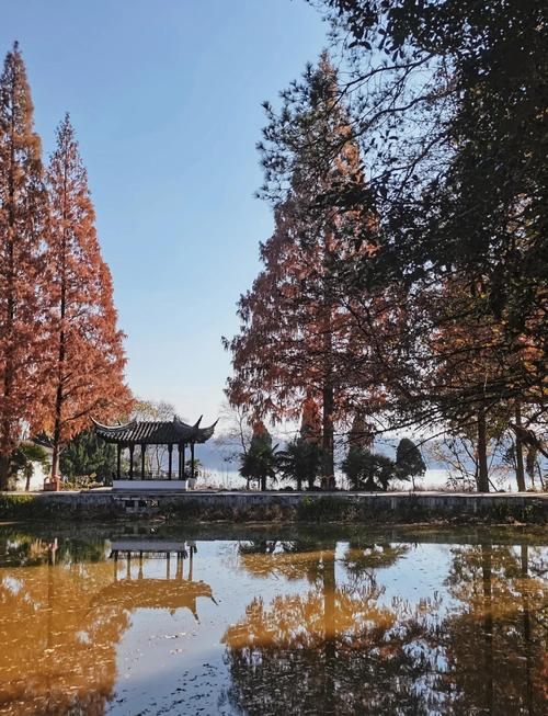 湖南灣田戴松林簡歷_湖南灣田集團有限公司_南灣湖