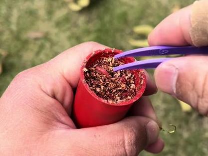 蚯蚓紅蟲哪個更好用_蚯蚓紅蟲垂釣區別_蛆蟲釣魚你試過嗎?開看看吧