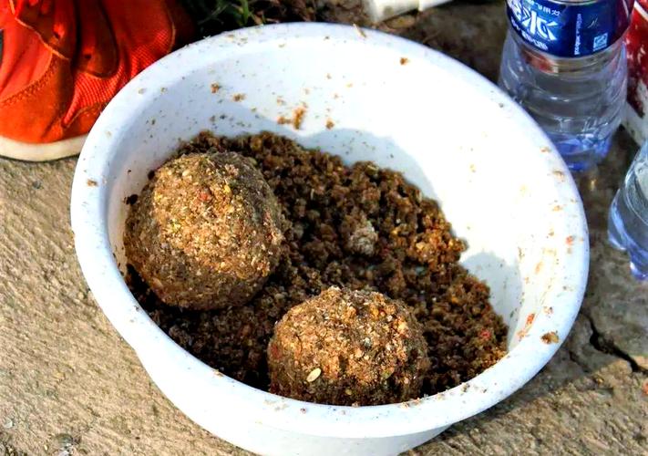 鳊魚釣_野釣 鯪魚_野釣鯔魚的經驗