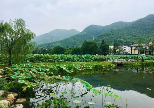 安吉農家樂圖片_安吉農家樂_安吉農家樂包吃包住價格
