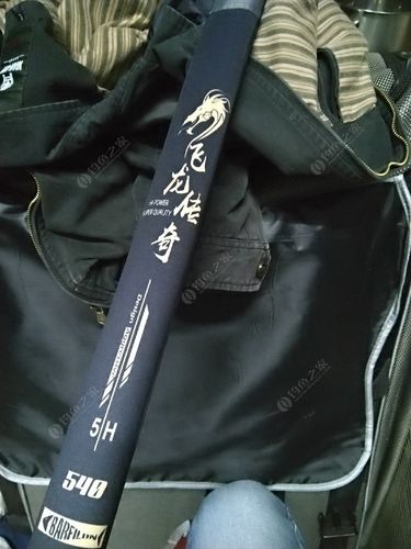 飛龍傳奇怎么樣_全新寶飛龍飛龍傳奇54_飛龍傳奇全新寶箱攻略